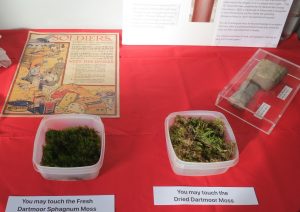 Sphagnum Moss (which can be found locally) was an essential part of wound dressings. Being able to touch it and experience the texture brought history to life